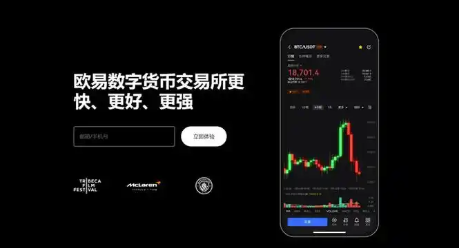 oyi电脑端注册平台展示图